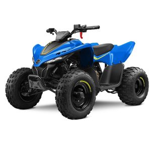 CFMOTO 110